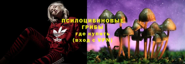 MDMA Белокуриха