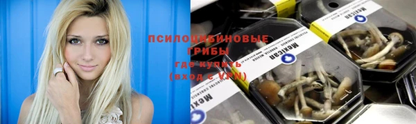 MDMA Белокуриха