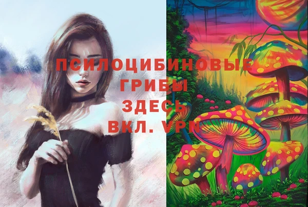 MDMA Белокуриха